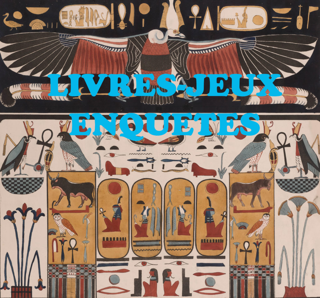 Des livres-jeux d'enquêtes sur l'Egypte à la manière de Cherche et trouve.